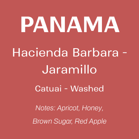 Panama - Hacienda Barbara - Washed Catuai