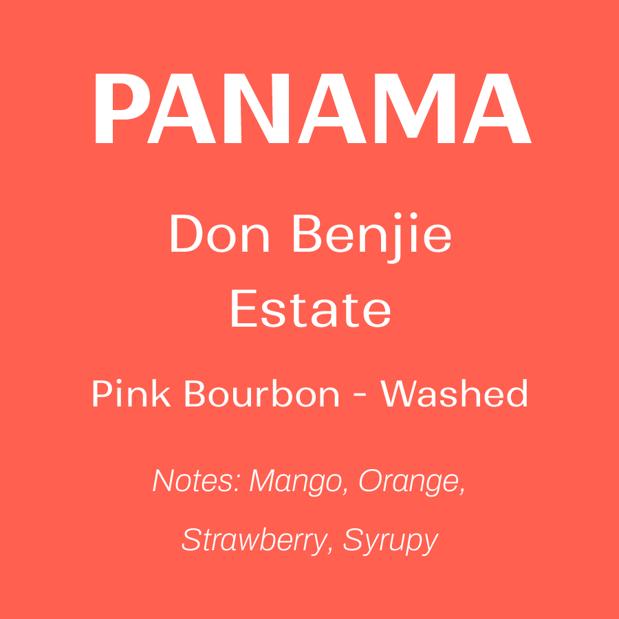 Panama - Don Benjie - Washed Pink Bourbon 200g
